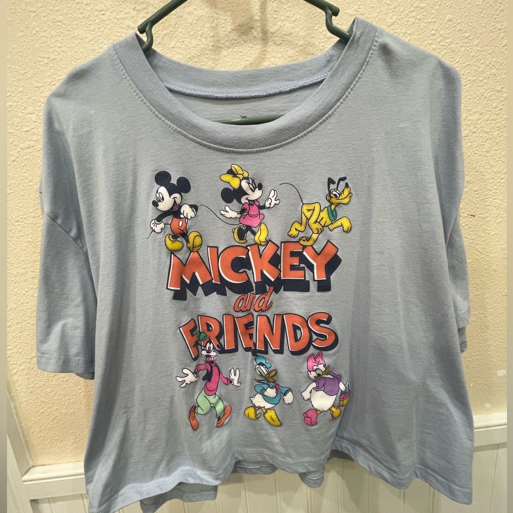 Mickey and friends crop top